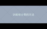 训练哈士奇的方法