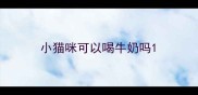 小猫咪可以喝牛奶吗