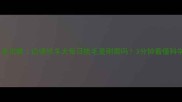 边牧梳毛全攻略边境牧羊犬每日梳毛是刚需吗3分钟看懂科学护理法