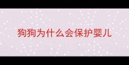 狗狗为什么会保护婴儿