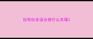 拉布拉多适合穿什么衣服