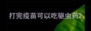 打完疫苗可以吃驱虫药