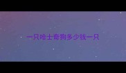 一只哈士奇狗多少钱一只