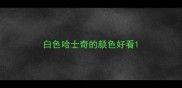 白色哈士奇的颜色好看