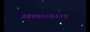成都宠物犬训练多少钱