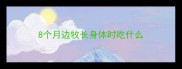 8个月边牧长身体时吃什么