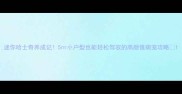迷你哈士奇养成记5小户型也能轻松驾驭的高颜值萌宠攻略