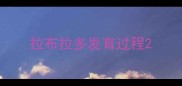 拉布拉多发育过程