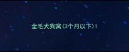 金毛犬狗窝3个月以下