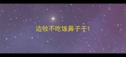 边牧不吃饭鼻子干