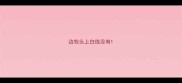 边牧头上白线没有