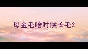母金毛啥时候长毛