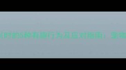 哈士奇高兴时的5种有趣行为及应对指南宠物主人必看