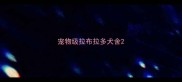 宠物级拉布拉多犬舍