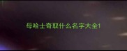 母哈士奇取什么名字大全