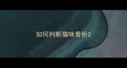 如何判断猫咪骨折
