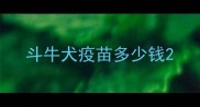 斗牛犬疫苗多少钱