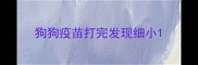 狗狗疫苗打完发现细小