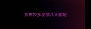 拉布拉多发情几天能配