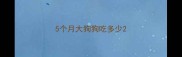 5个月大狗狗吃多少