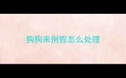 狗狗来例假怎么处理