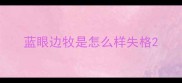 蓝眼边牧是怎么样失格