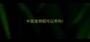 中国宠物貂可以养吗