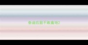 泰迪后腿不敢着地