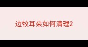 边牧耳朵如何清理