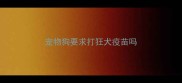 宠物狗要求打狂犬疫苗吗