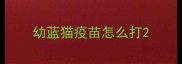 幼蓝猫疫苗怎么打