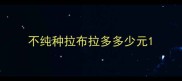 不纯种拉布拉多多少元