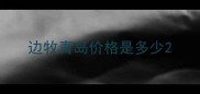 边牧青岛价格是多少