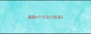 猫猫4个月没打疫苗