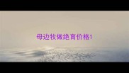 母边牧做绝育价格