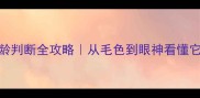 哈士奇年龄判断全攻略从毛色到眼神看懂它的成长密码