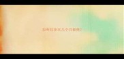 拉布拉多犬几个月最贵
