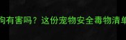 灭害灵对狗狗有害吗这份宠物安全毒物清单必须收藏
