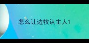 怎么让边牧认主人