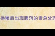 哈士奇换粮后出现腹泻的紧急处理指南