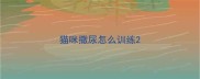 猫咪撒尿怎么训练