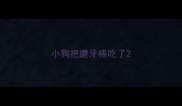 小狗把磨牙棒吃了