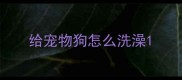 给宠物狗怎么洗澡