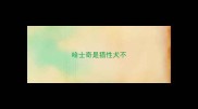 哈士奇是猎性犬不
