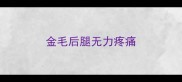 金毛后腿无力疼痛