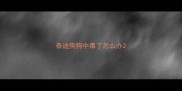 泰迪狗狗中毒了怎么办