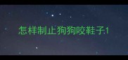 怎样制止狗狗咬鞋子