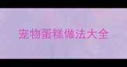 宠物蛋糕做法大全