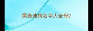黑泰迪狗名字大全母