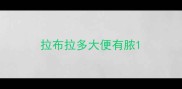 拉布拉多大便有脓